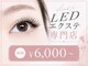 シュシュ(Chouchou)の写真