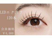 マジー リブロン(Magie le lis branc)