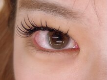 インザピンクリリー(in the pink LILY)/バインドロック80束