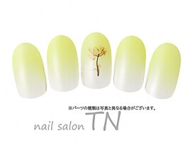 ３月☆定額3900円コース