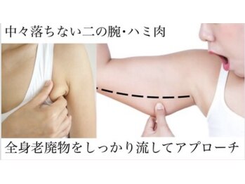 ヨサパーク マオ(YOSA PARK Mao)の写真/痩せにくい二の腕の“振りそで肉”も撃退!!結果重視の痩身専門サロンでスッキリ引き締まった二の腕に!