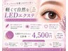 【ナチュラルなのに“ちゃんと盛れる】軽くて自然なLEDフラット120本¥4500