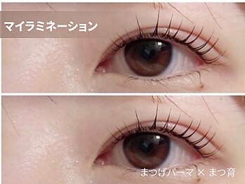 プティパ(Petit pas)/まつげをケアするラッシュリフト