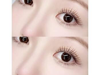 エイシェル/フラットラッシュ120本