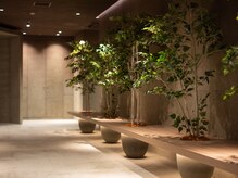 アールイー プライベートサウナ(Re: PRIVATE SAUNA)の雰囲気（【ラウンジ】サウナをご予約されたお客様のみがご利用可能です。）