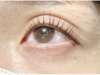 リグ(rig')/ラッシュリフト