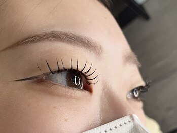 ミニョン(mignon)/フラットラッシュ120本