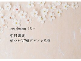 華やか8種定額デザイン