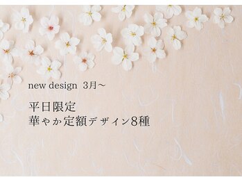 華やか8種定額デザイン