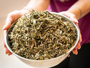 ソエル 二俣川店(SOELU)/よもぎ蒸しでホームケア☆