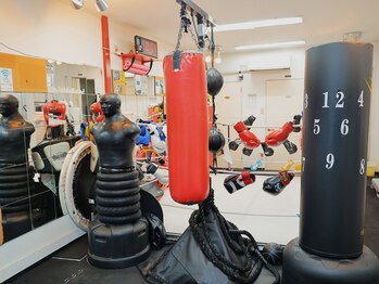 スタイルボクシング ブリッジ/サンドバック3台