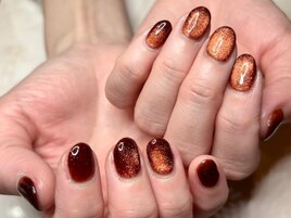 マグネットネイル　パラジェル