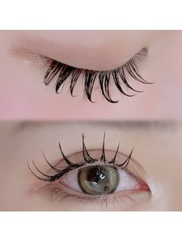 メイプル(Maple)/目を開けても閉じても可愛い