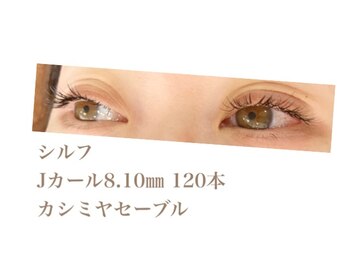 シルフ 石橋店(Sylph)/カシミヤセーブル