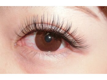 アヤラッシュ(AyaLash)/フラットラッシュ140本 