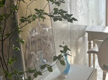 マルグリット(Marguerite)の雰囲気（空間作りもこだわっています。）