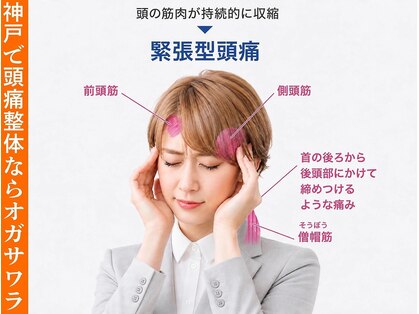 整体オガサワラの写真