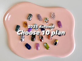 Hand Choose 10 plan