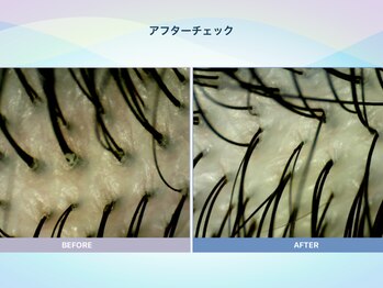 アンス(anth:)/お客様の仕上がり