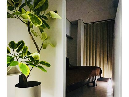 ルナ(LuNa)の写真