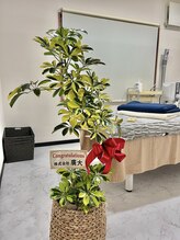 ポーラ 藤枝店(POLA)/フェイシャルサロンポーラ藤枝店