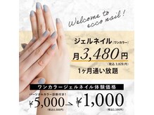 今だけの限定体験メニュー！！