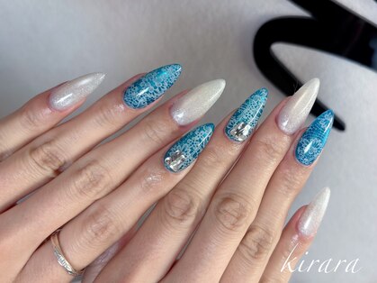 キララ(Kirara)の写真