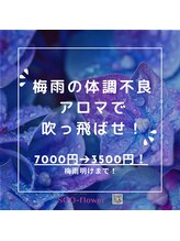 スーフラワー(SOO-flower)/梅雨は何かと疲れます