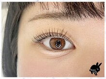 バニーラッシュ 津田沼店(Bunny Lash)/【リフエク】