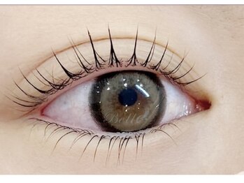 ビューティー アイラッシュ ベルウインク(Bellewink)/上下パーマ