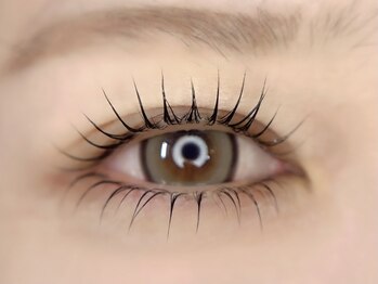 キャメル(Camel)/ラッシュリフト上下