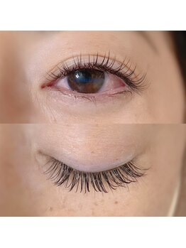 カミーノ(CAMINO)/