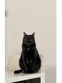 リノ 淡路店(lino) 我が家の愛猫の黒猫です！