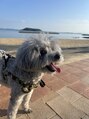 アリーズエステスウェイ 豊田店&nbsp;愛犬のアランくん10歳です。毎日一緒に寝ています。