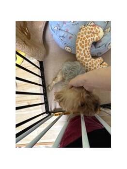 ポノサロン(pono salon)/ビビりです