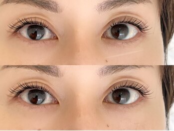 シャルフ(shalf)/