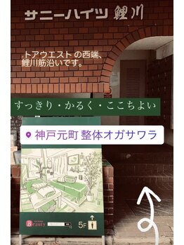 整体オガサワラ/鯉川筋沿い、トアウエスト西端