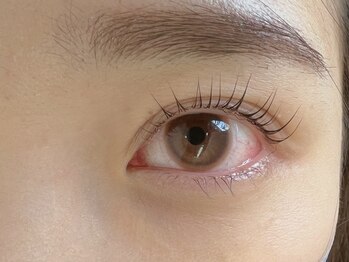 ジラフ(giraffe)/【パリジェンヌラッシュリフト】