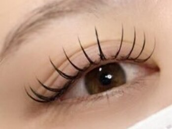 クインカ 柏店(Cuinca)/ LED flat lash 120本