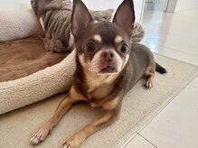 撫の樹/だいたい毎日いるよ～