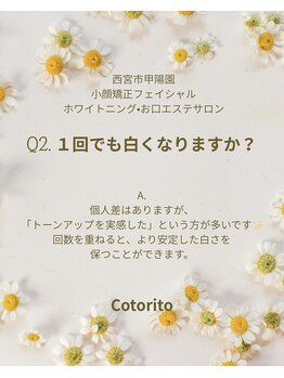 コトリト(Cotorito)/