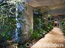 セレブリボーン 大阪ボーテ/サロン　エントランス