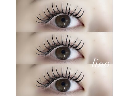 リノ(lino)の写真