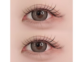 アスター(Aster)/Carlデザイン