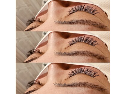 ミント(Mint)の写真