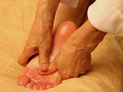 ゴカイ(Gokai)の写真