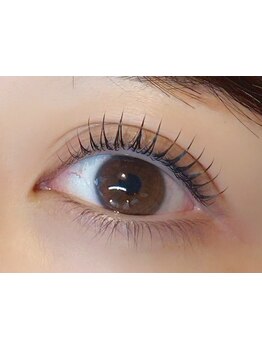 初めての方にオススメ