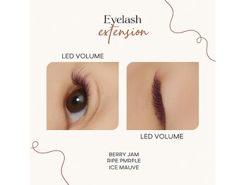 ボディキュア(BODYQA)/LED VOLUME 300本