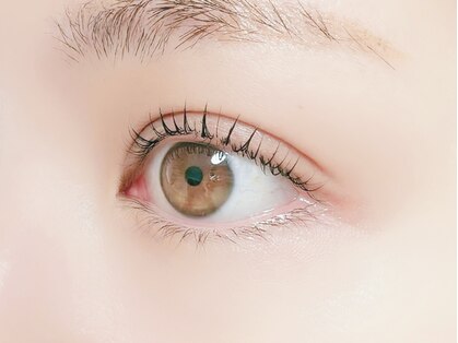 アイリー(irie)の写真