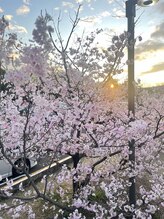 マシュマロハンド/肩こり/冷え/むくみ改善